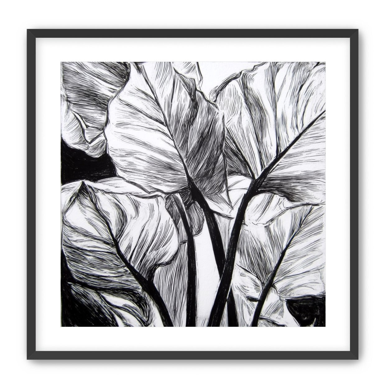 Overlapping Leaves on Dark Ground