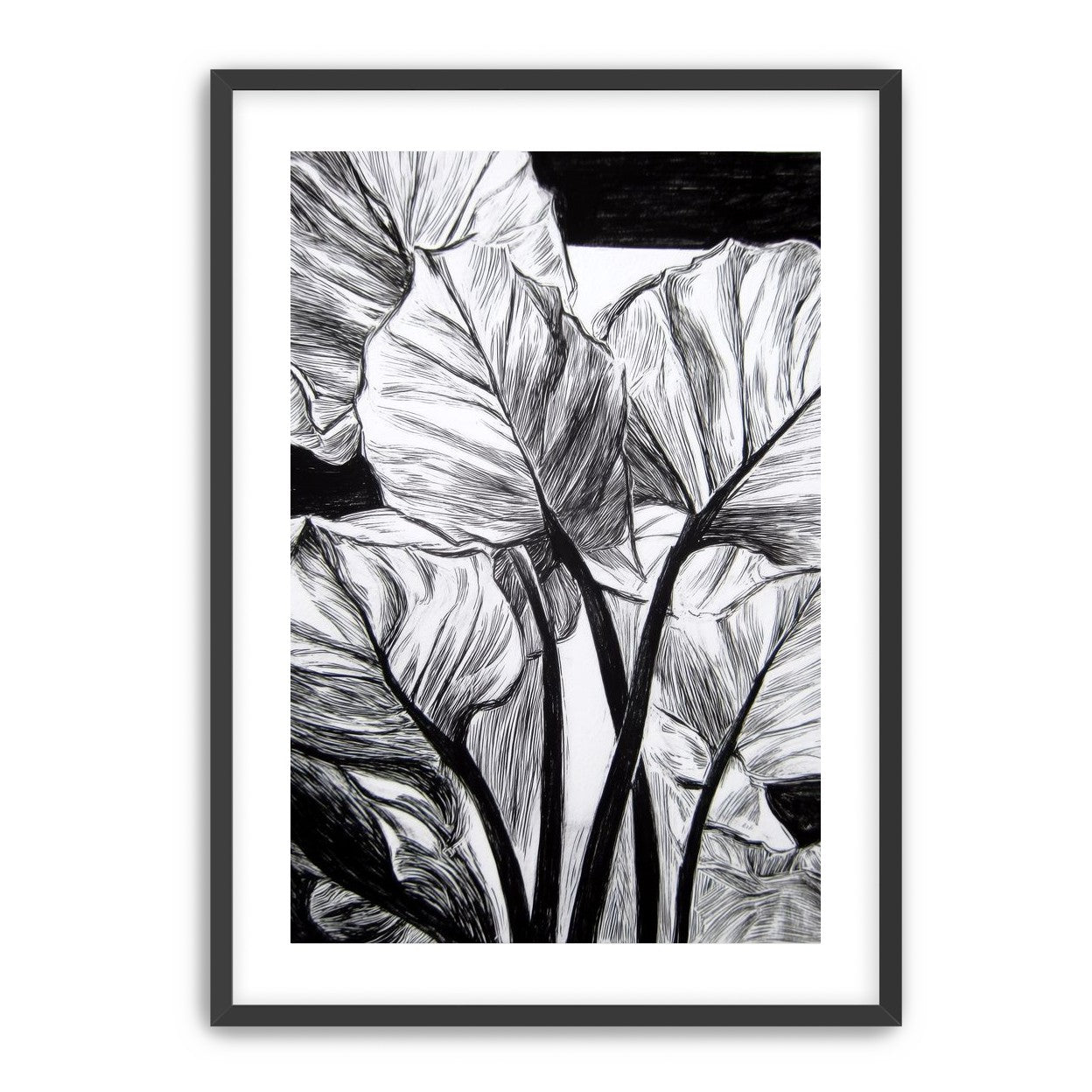 Overlapping Leaves on Dark Ground