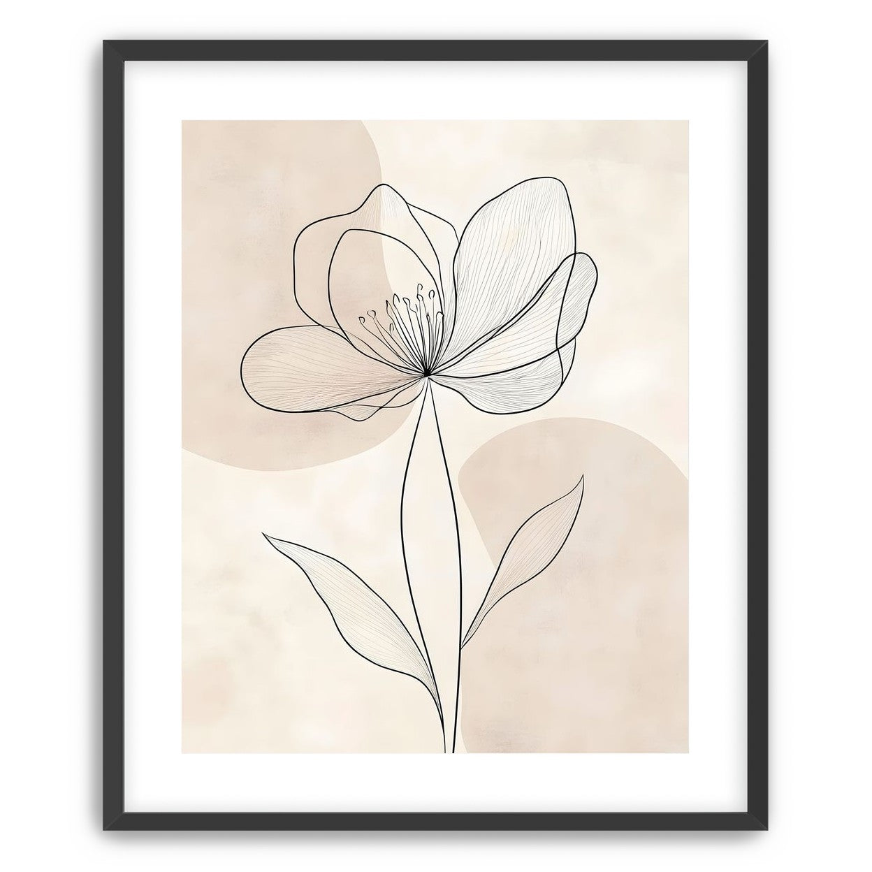 Single Bloom