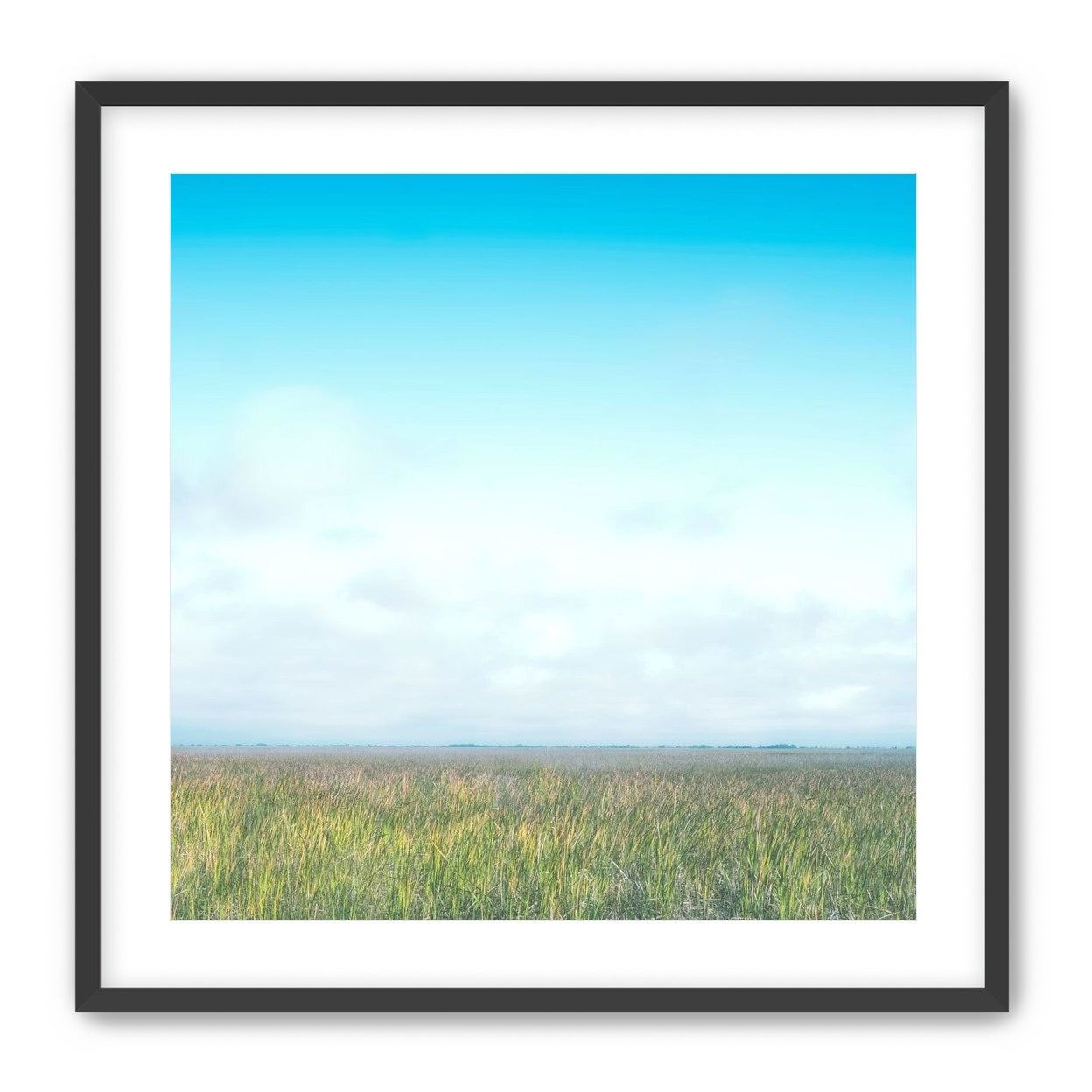Grasslands