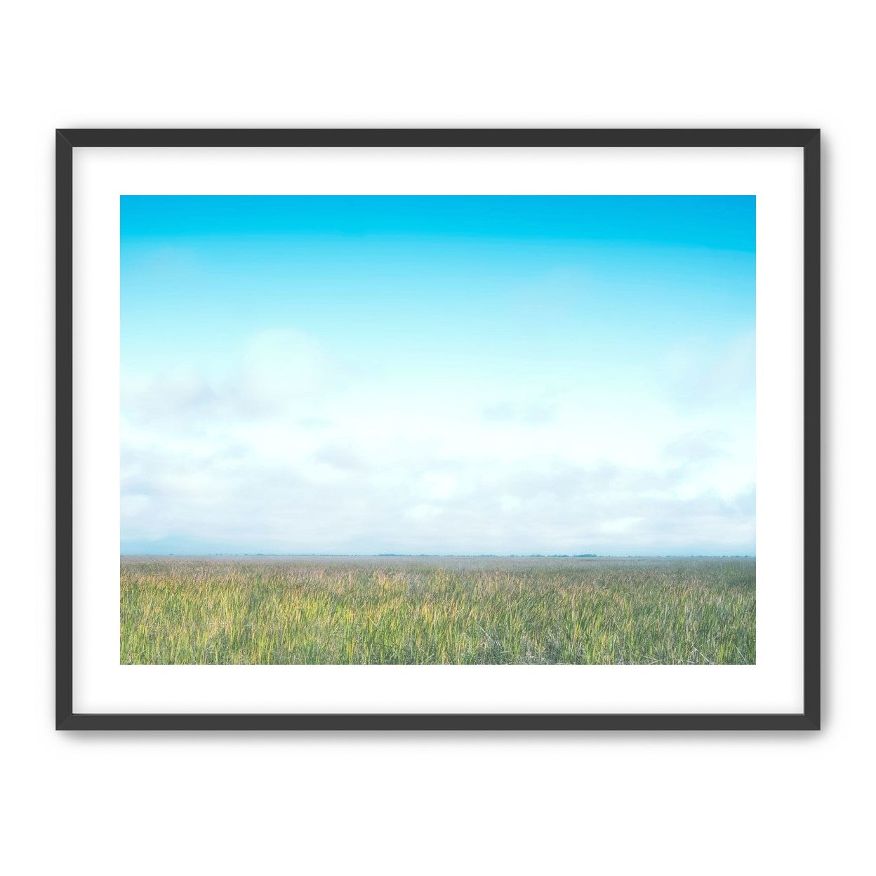 Grasslands