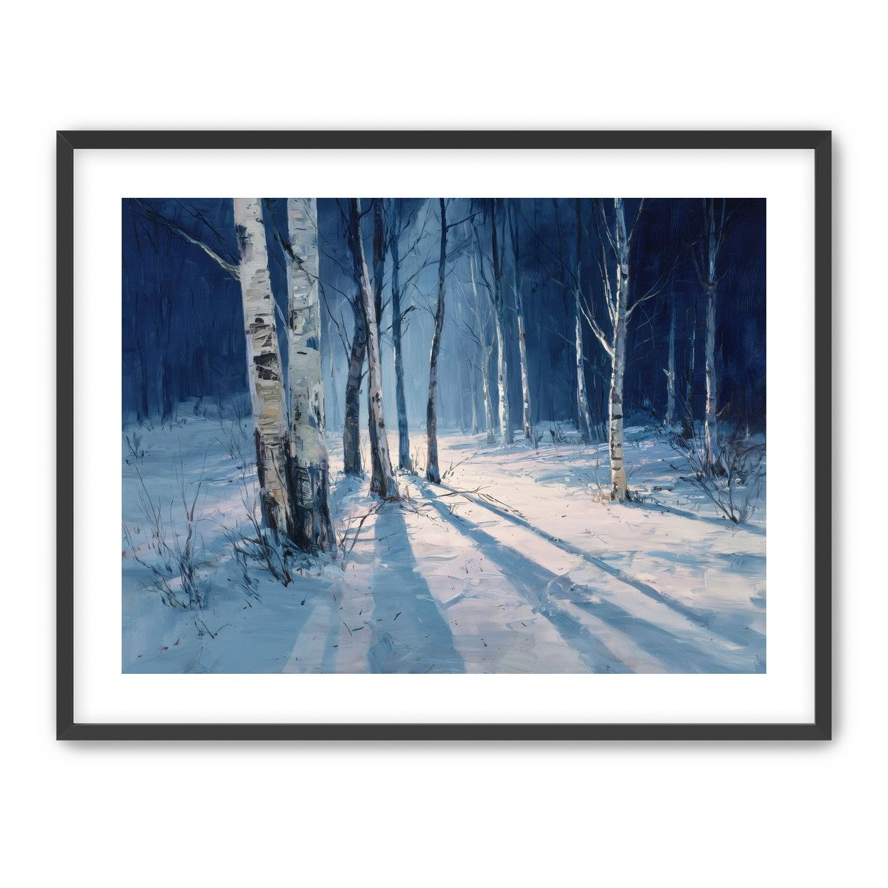 Snow Shadows Between Trunks