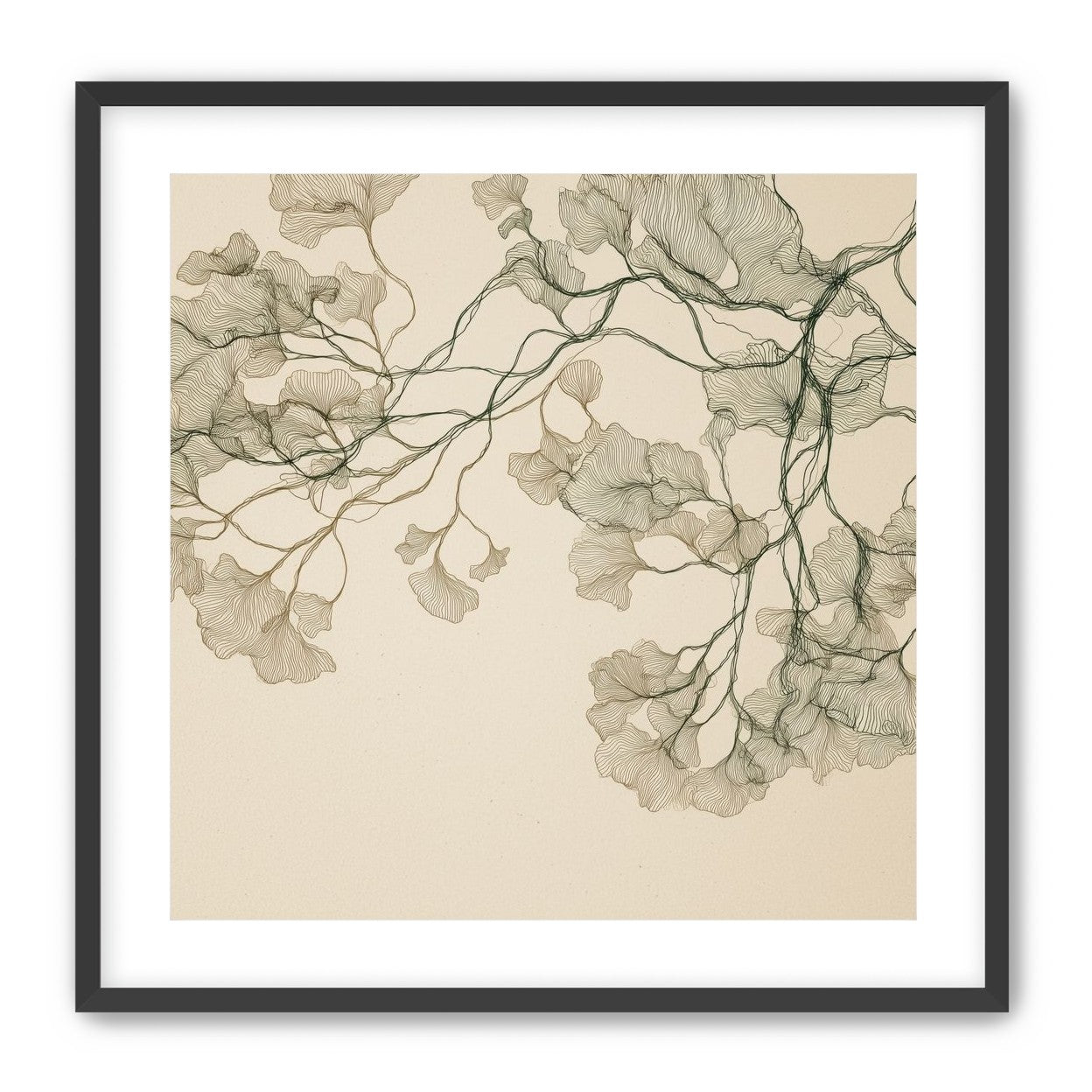 Open Canopies in Ink