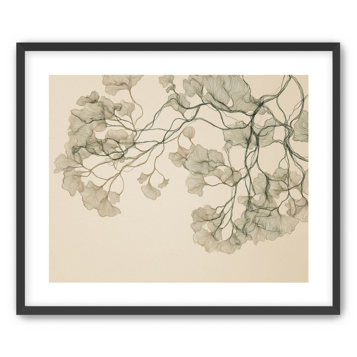 Open Canopies in Ink