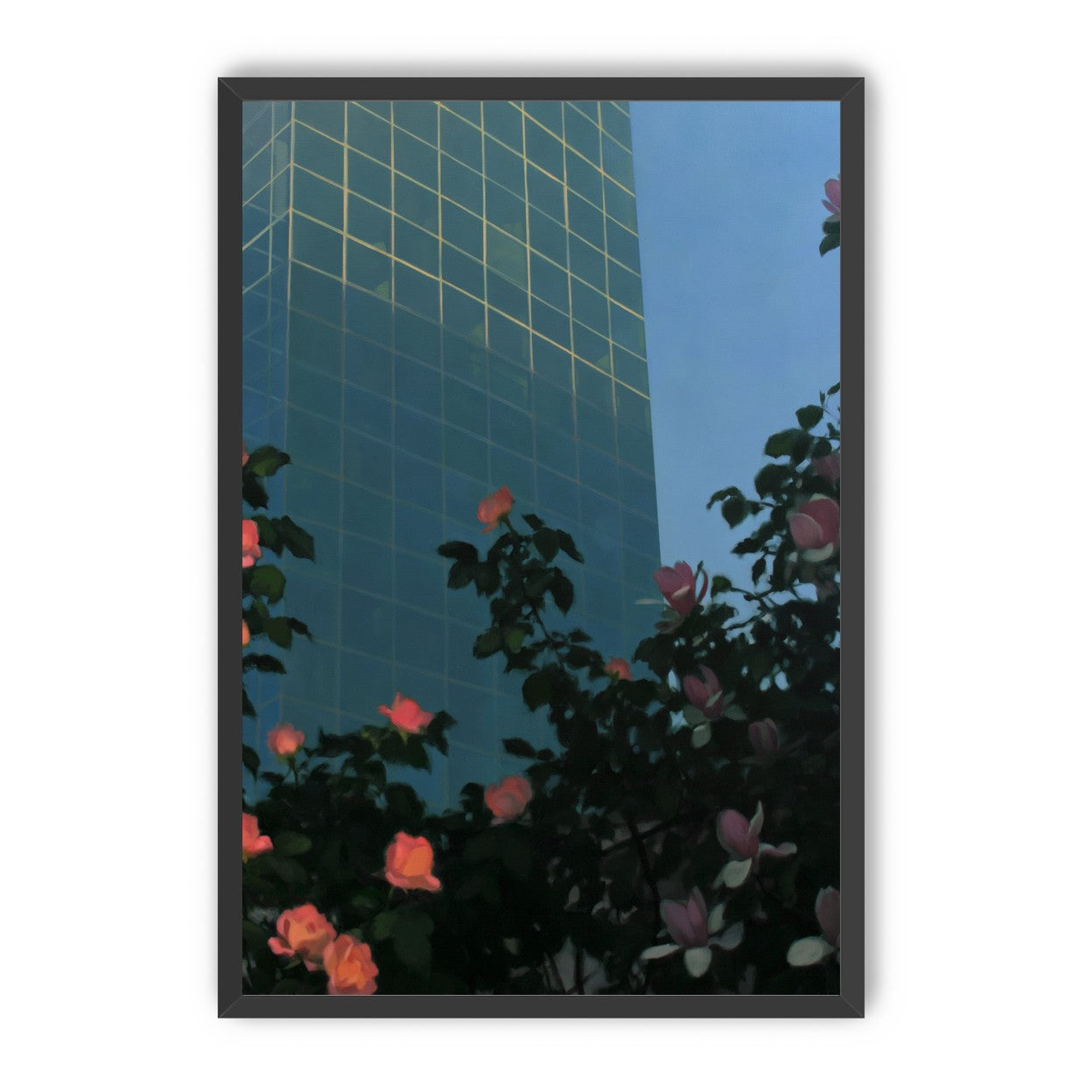 Roses beneath blue towers