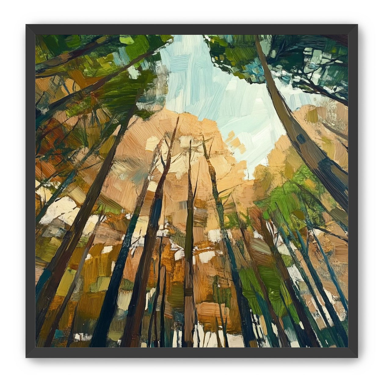 Canopy Lightfall