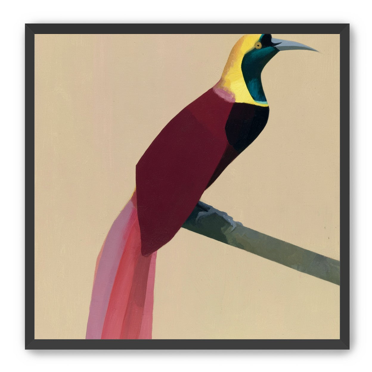 A bright bird on a branch