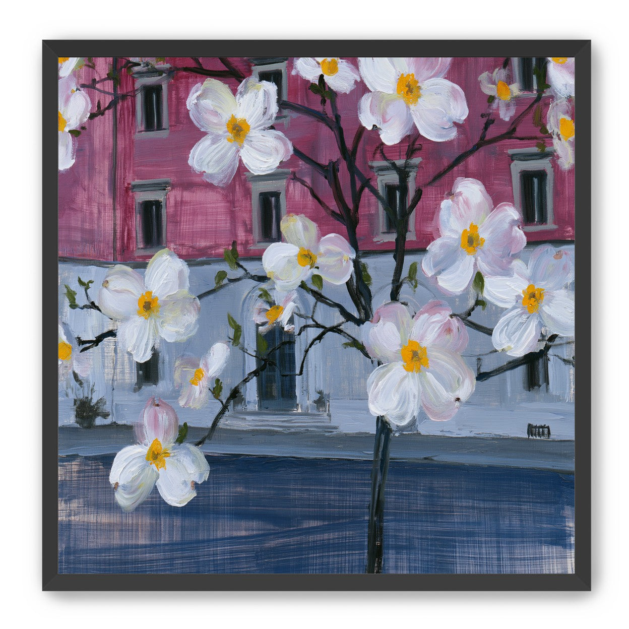 White blossoms over the pink house
