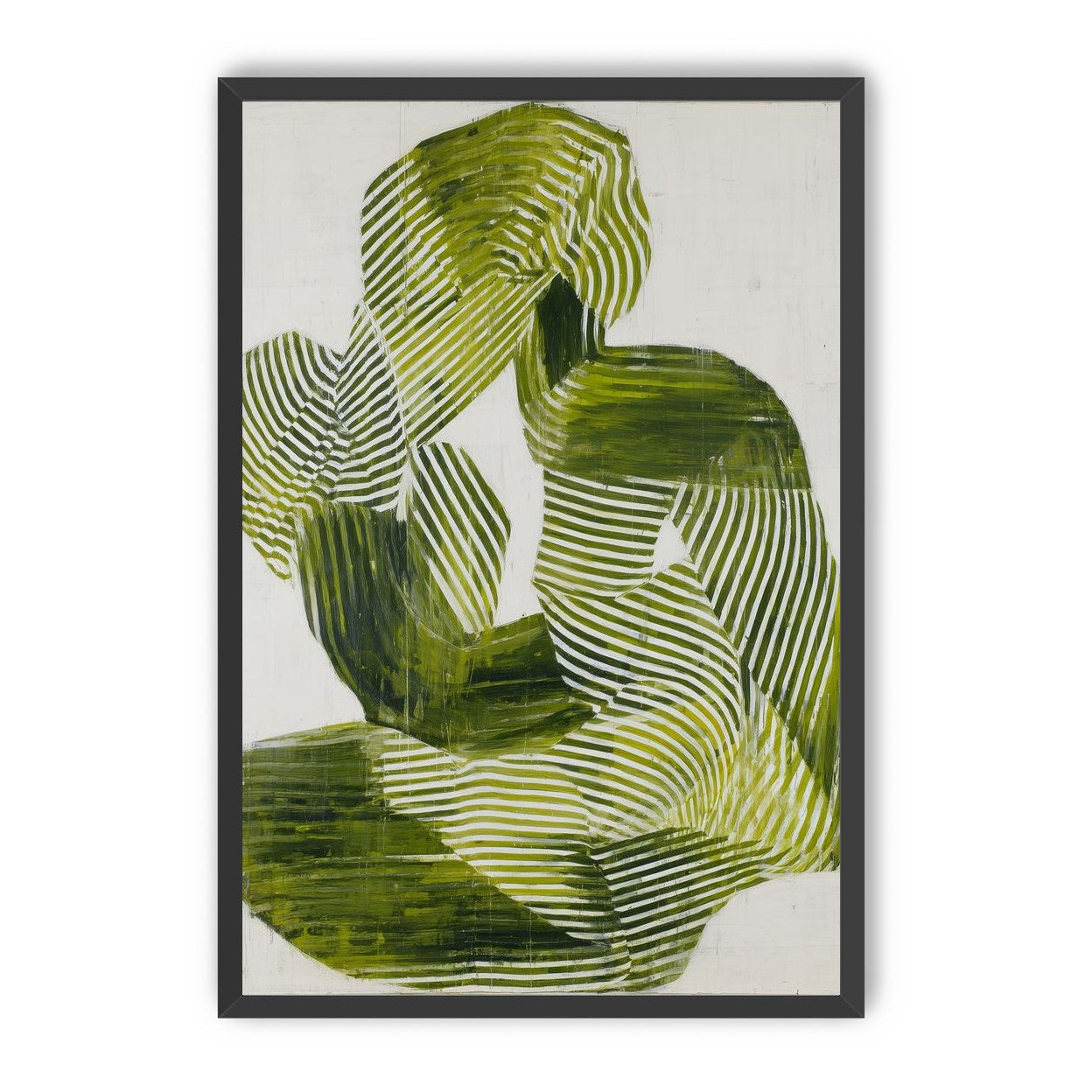 Olive stripes in repose