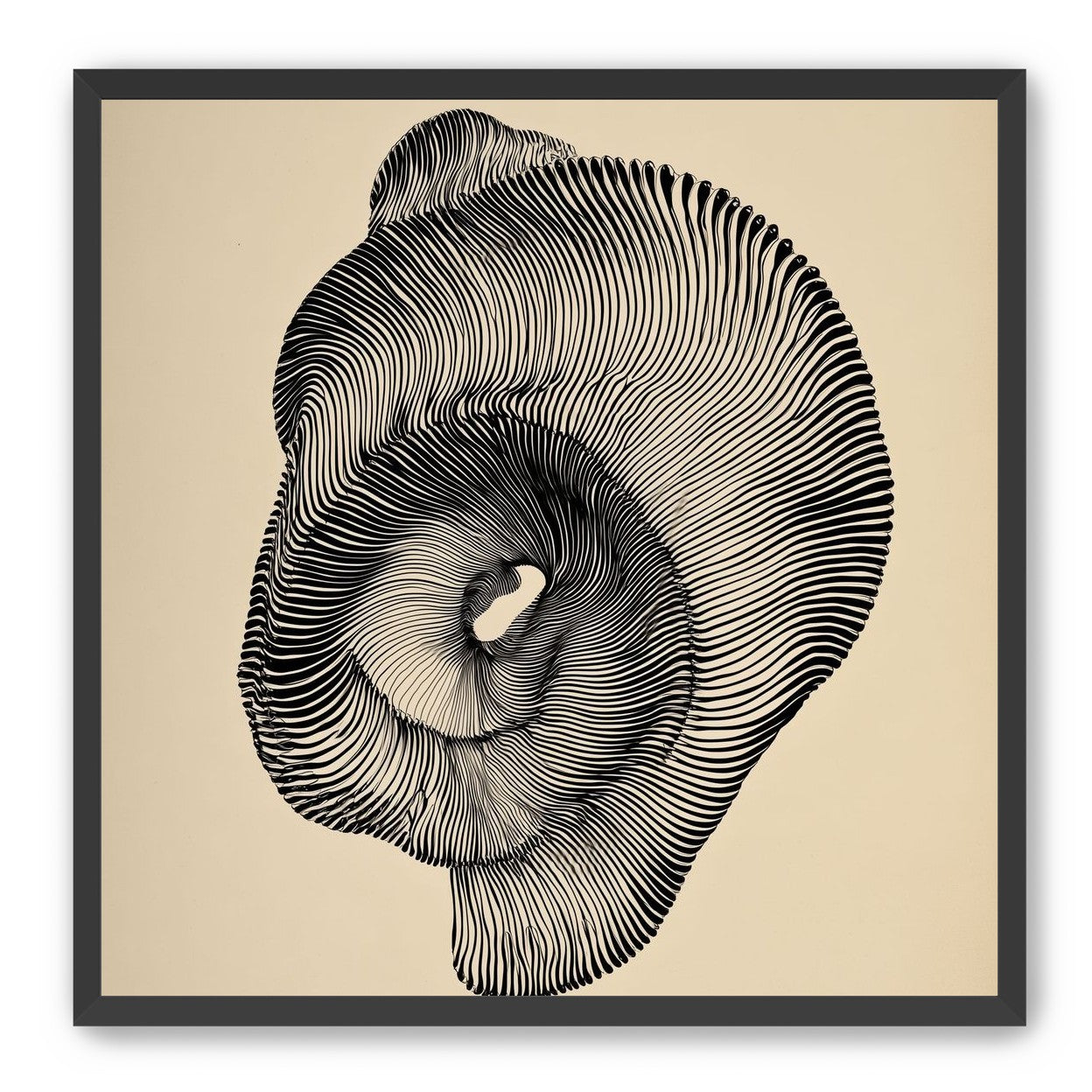 A hollow within black lines