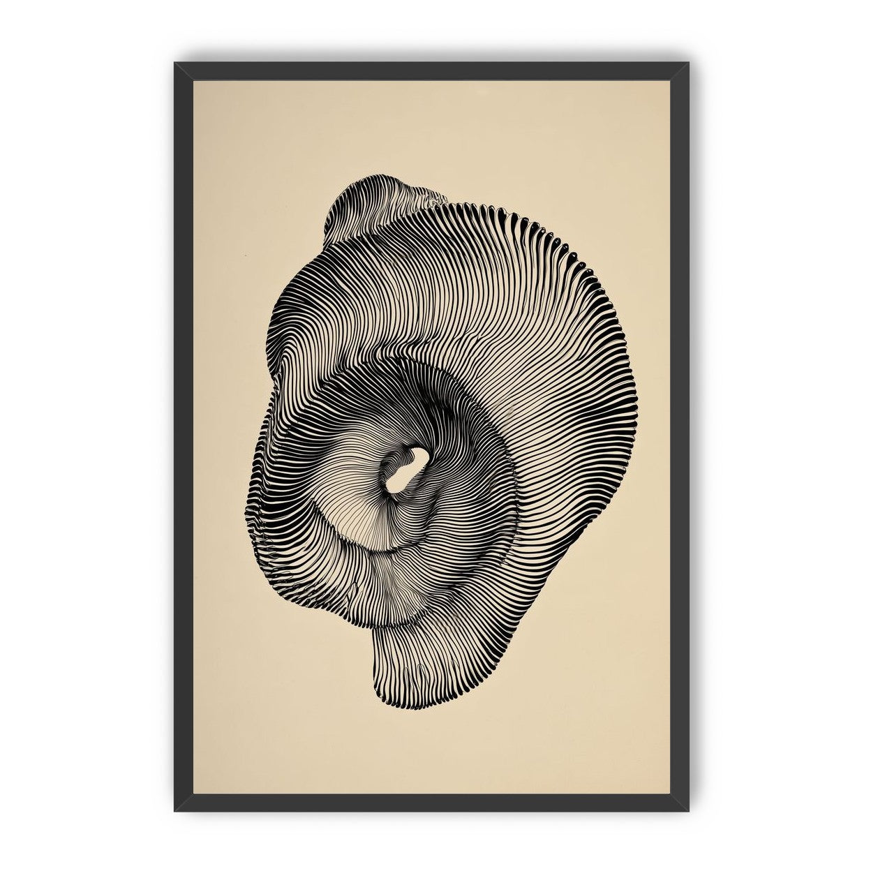 A hollow within black lines