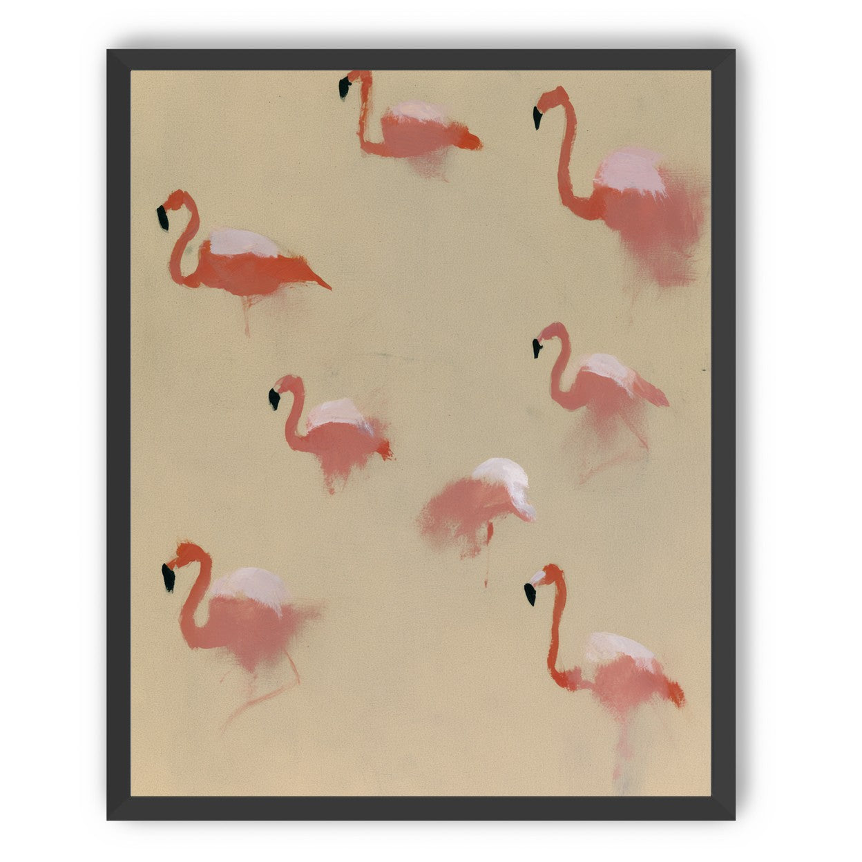 Flamingos in quiet drift