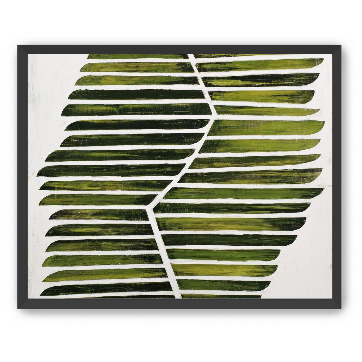 Leaf ribs around a white vein