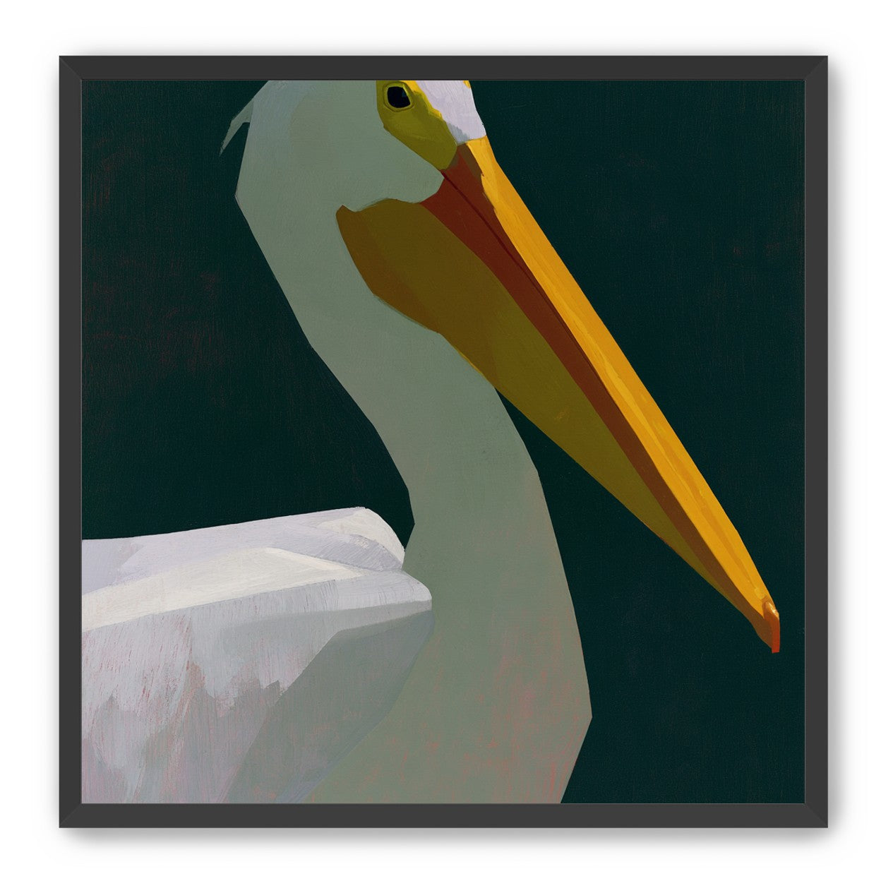 White pelican in deep green