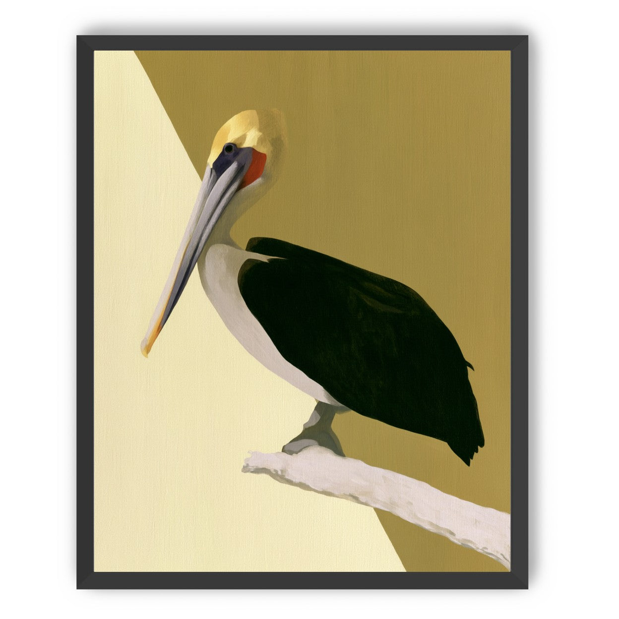 Pelican in quiet balance