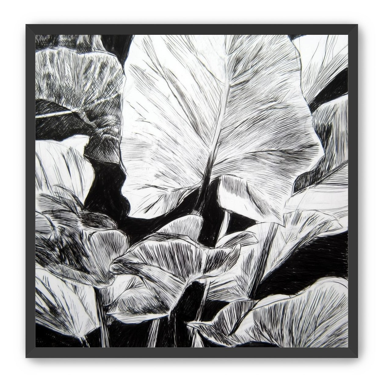 A Cluster of Leaves