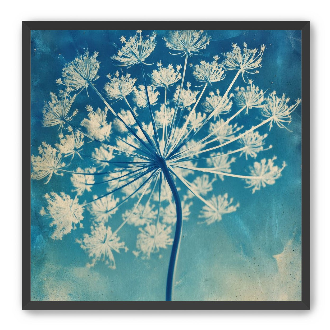 A Starburst Taught to Bloom