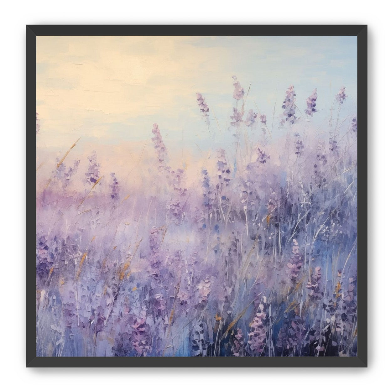 Lavender Fields