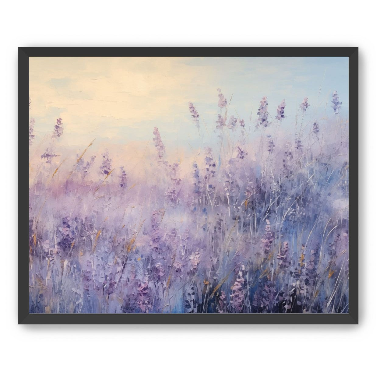 Lavender Fields