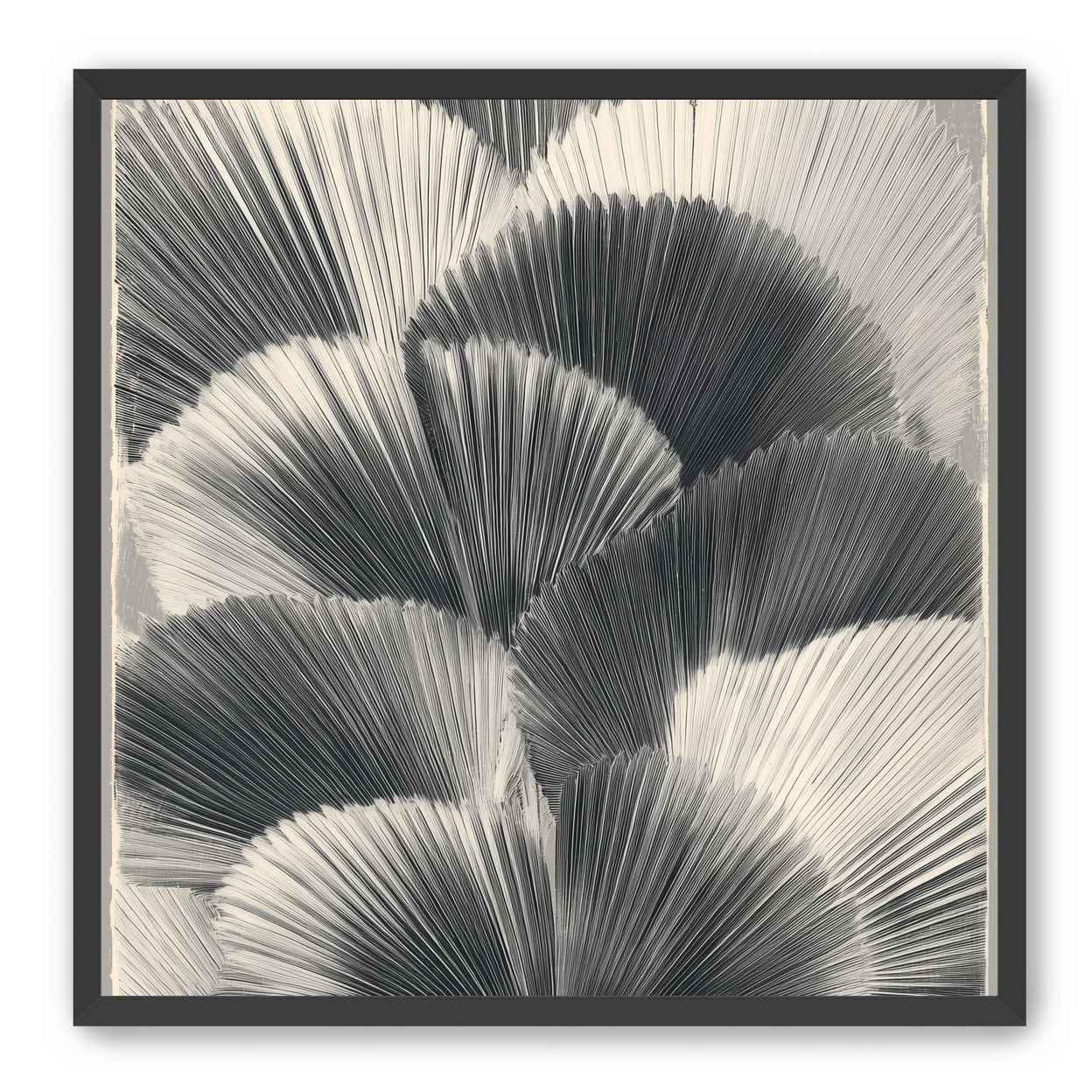 Ginkgo leaves in shadow