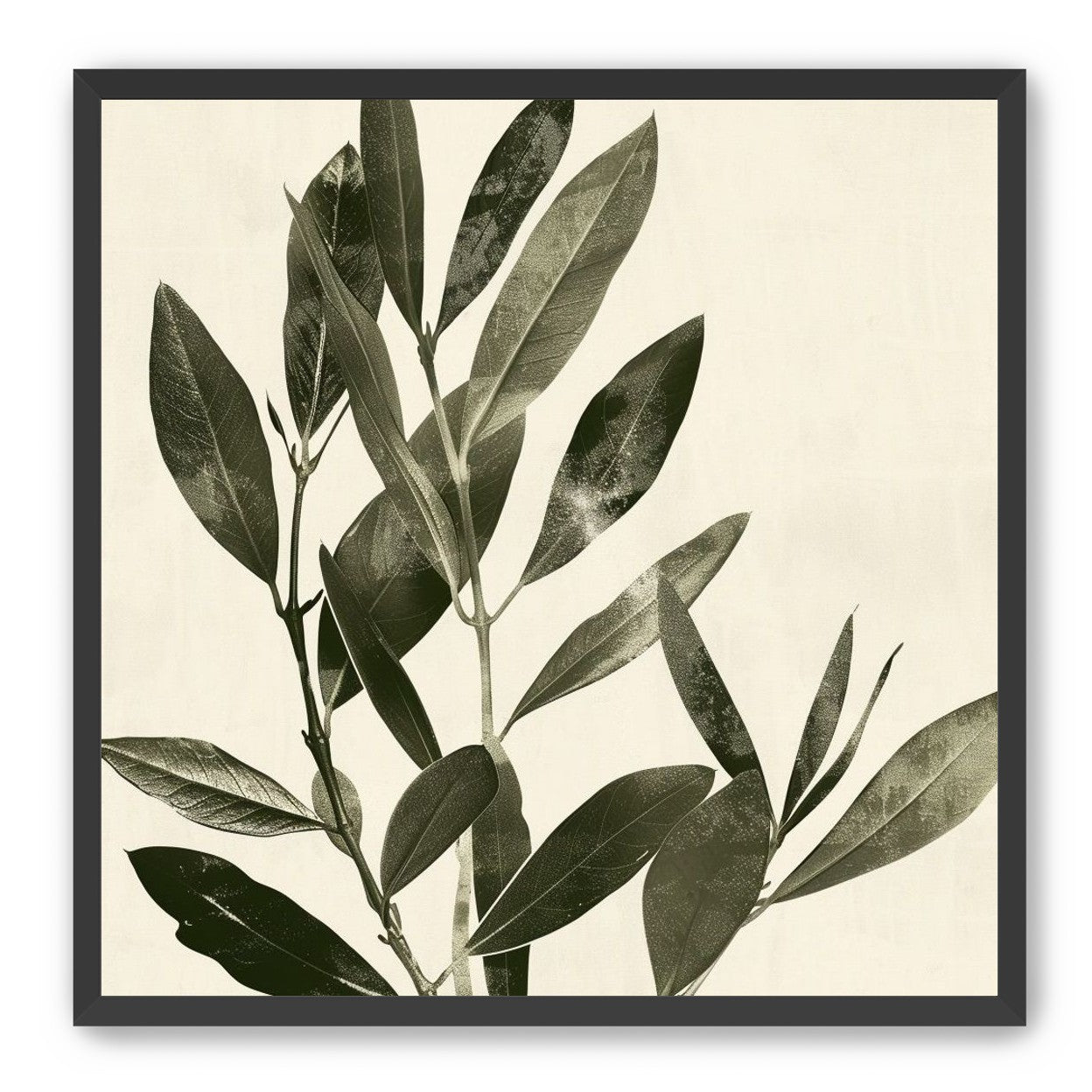 Dark leaves on pale field