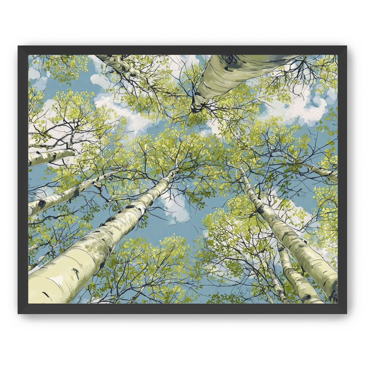 Aspen Canopy I