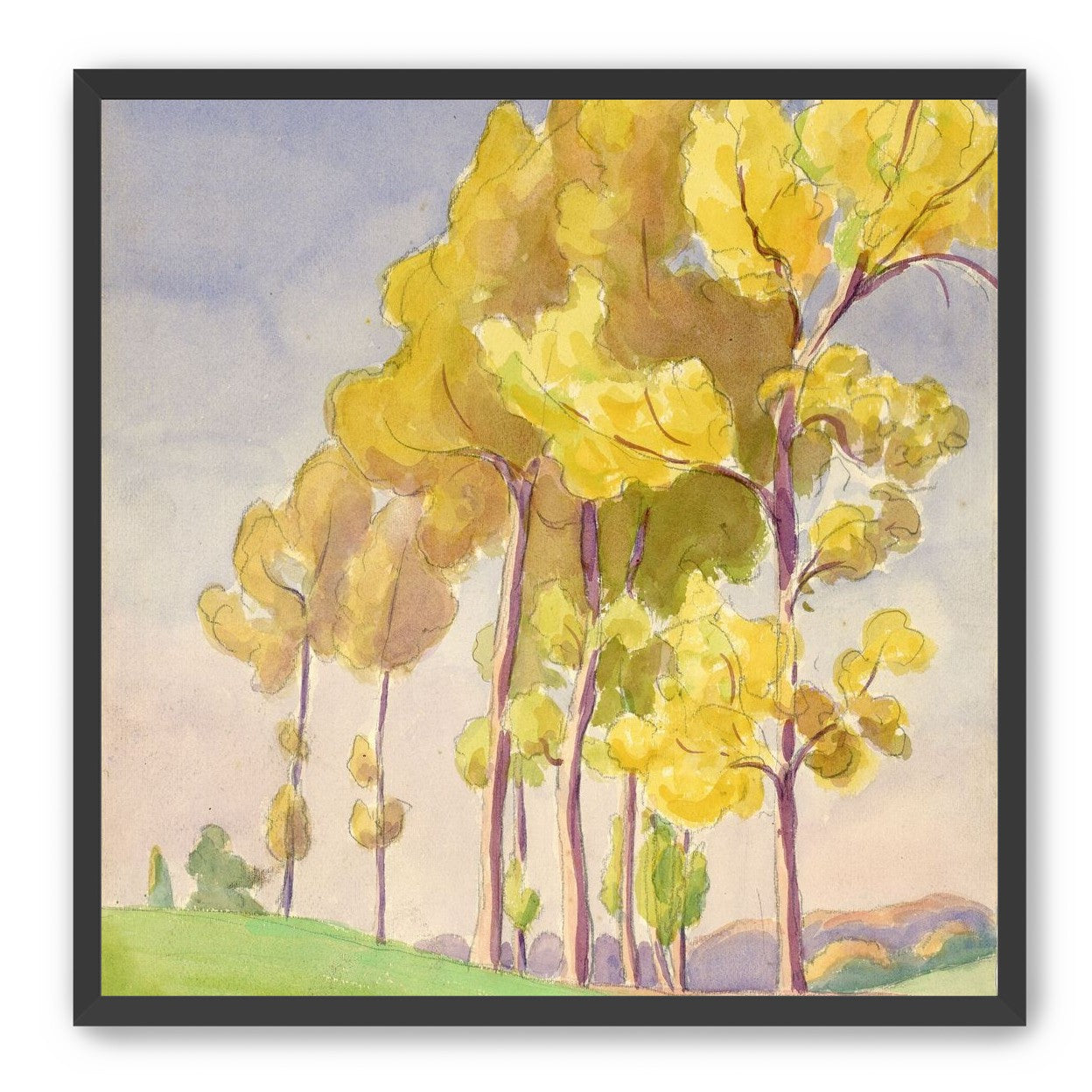 Yellow crowns on the hill