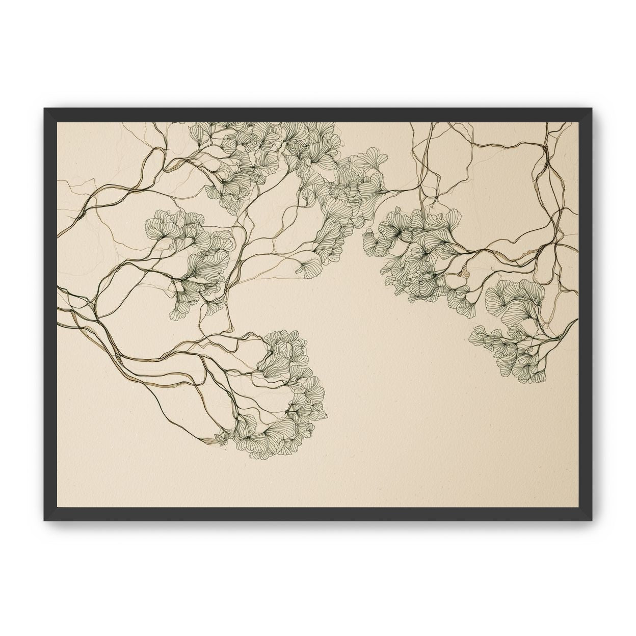 Trees Drawn in Continuous Lines