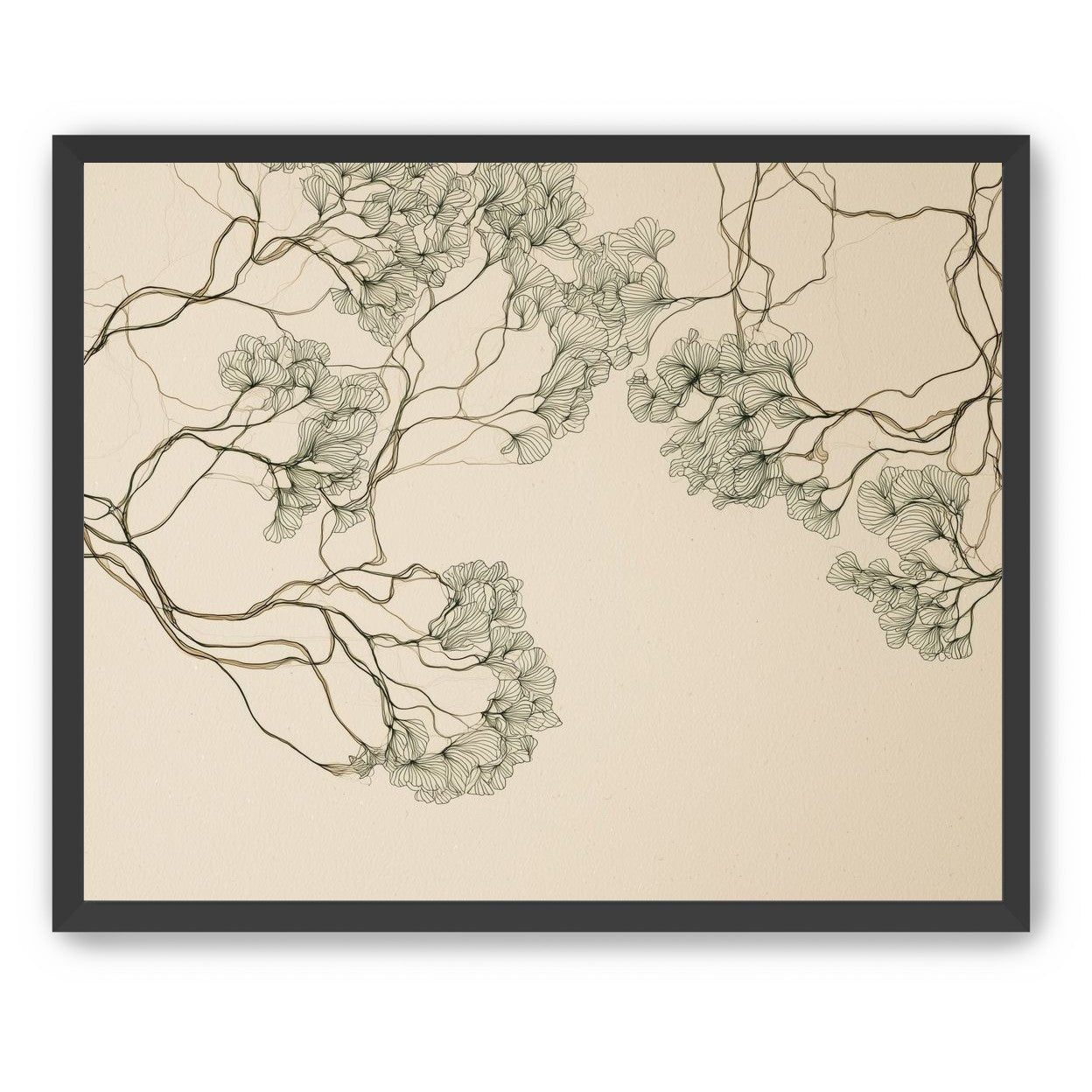 Trees Drawn in Continuous Lines