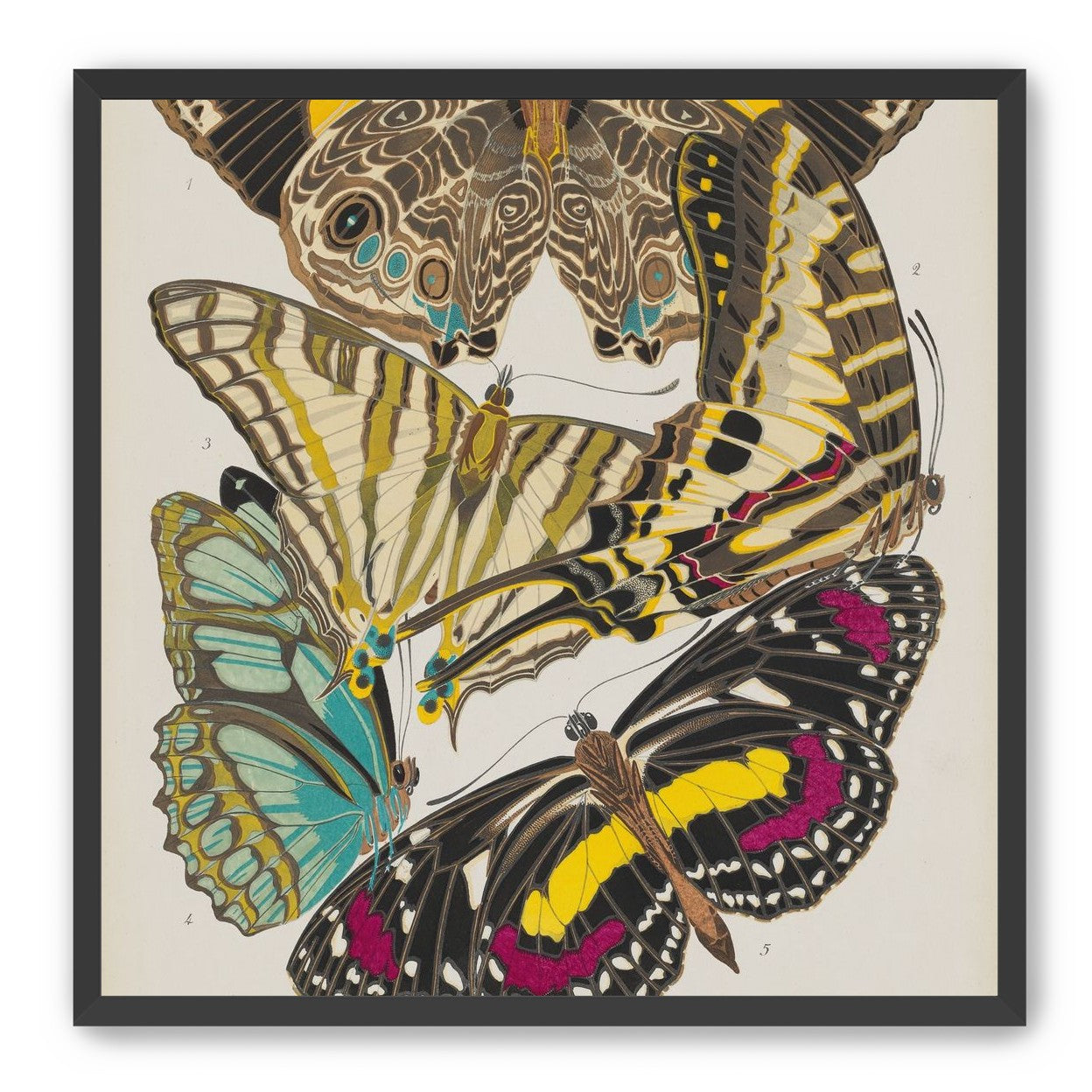 Butterflies among blank paper