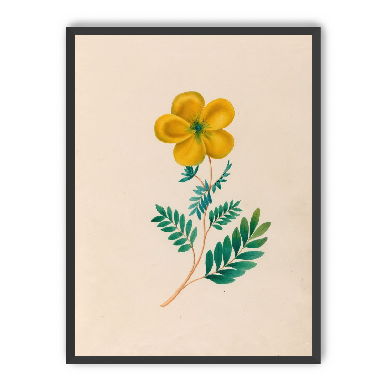 Yellow flower on pale paper