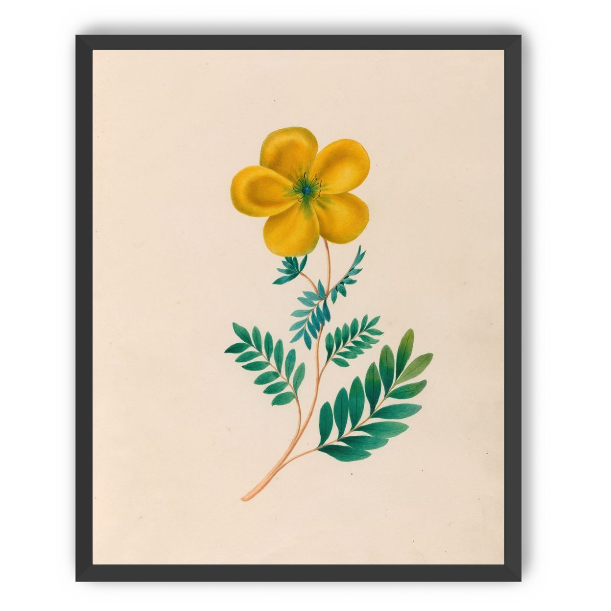 Yellow flower on pale paper