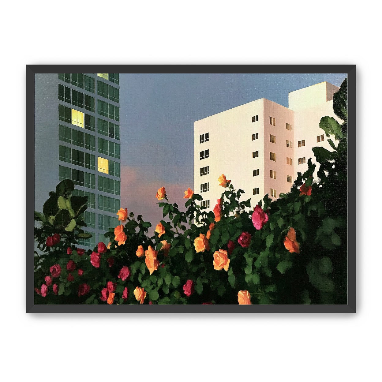 Roses below lit windows