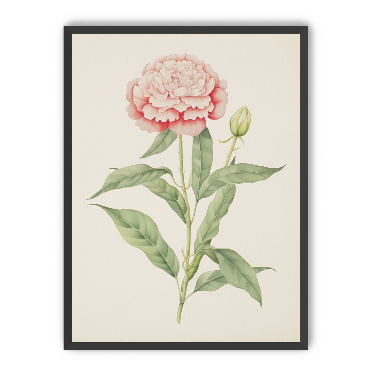 Delicate Blush