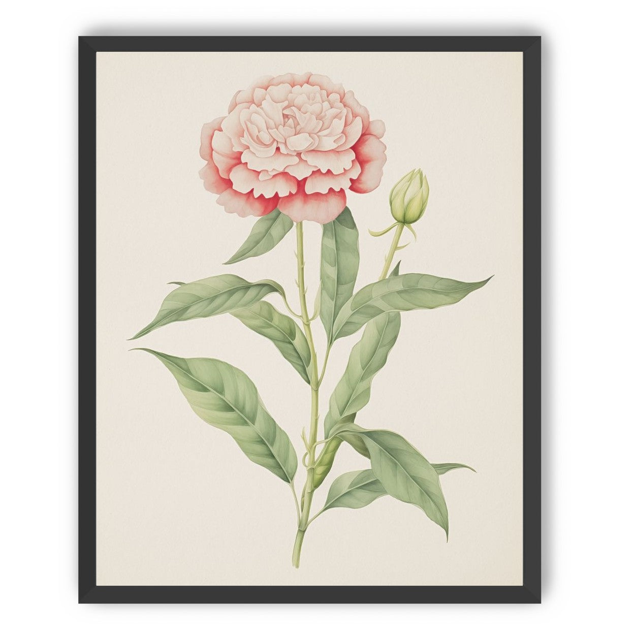 Delicate Blush