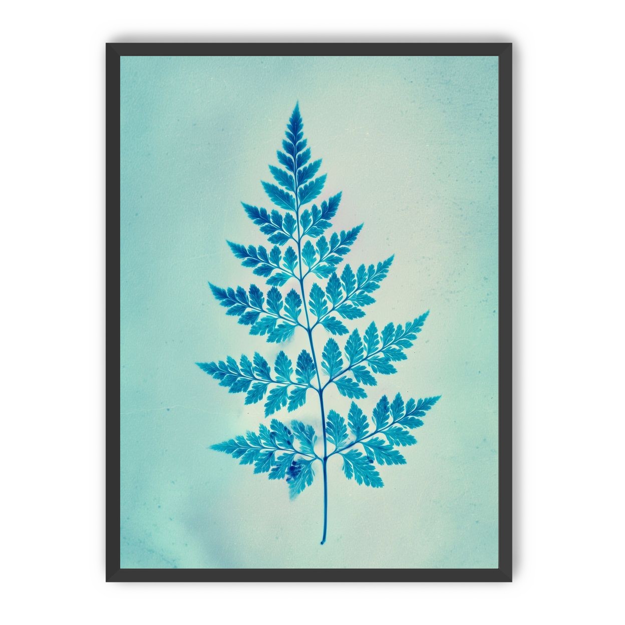 stems and leaves