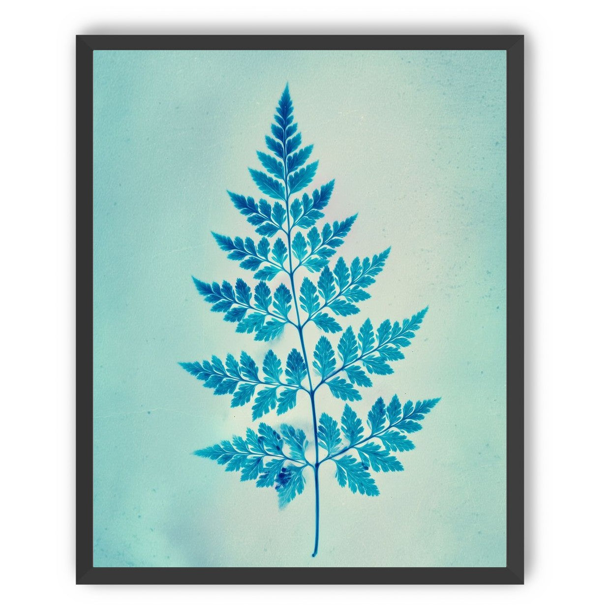 stems and leaves