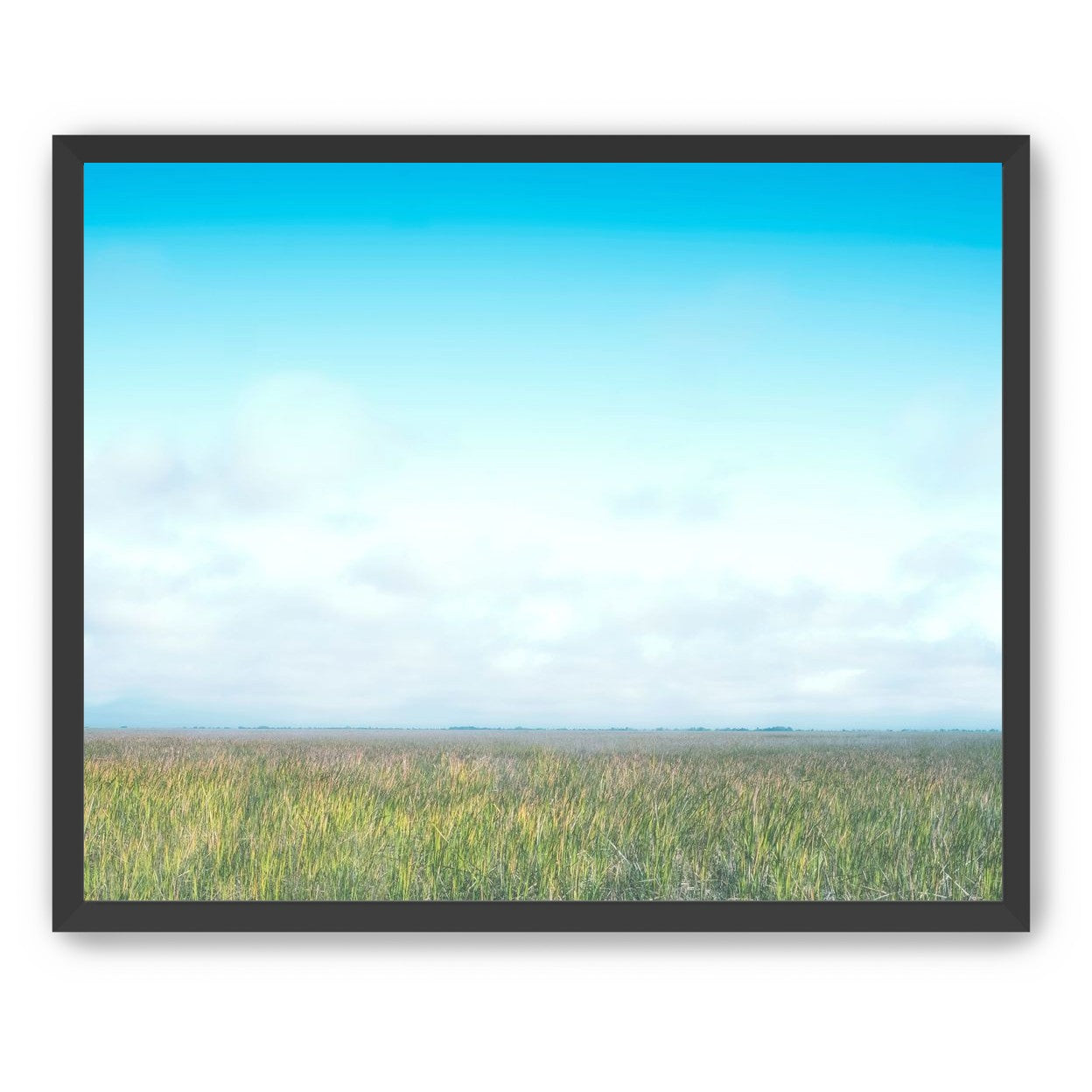 Grasslands