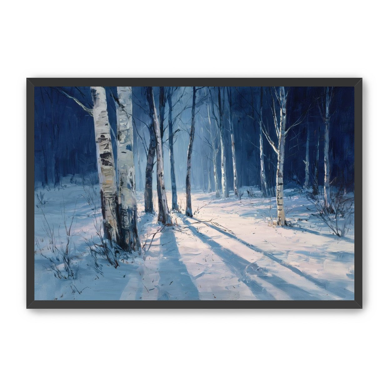 Snow Shadows Between Trunks