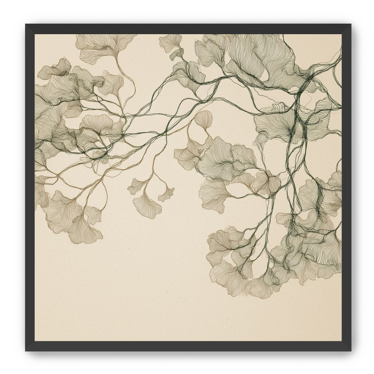 Open Canopies in Ink