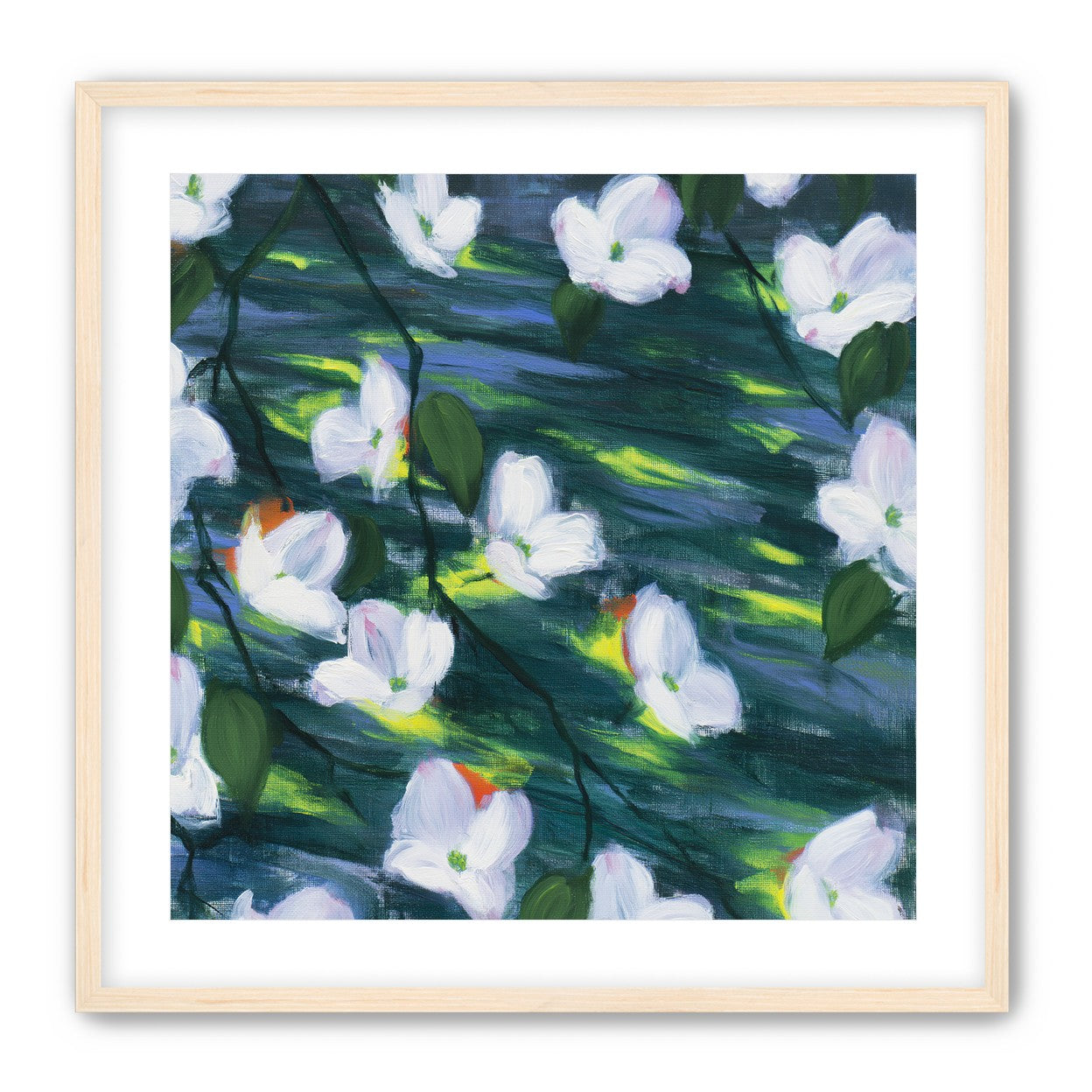 White blossoms on dark water