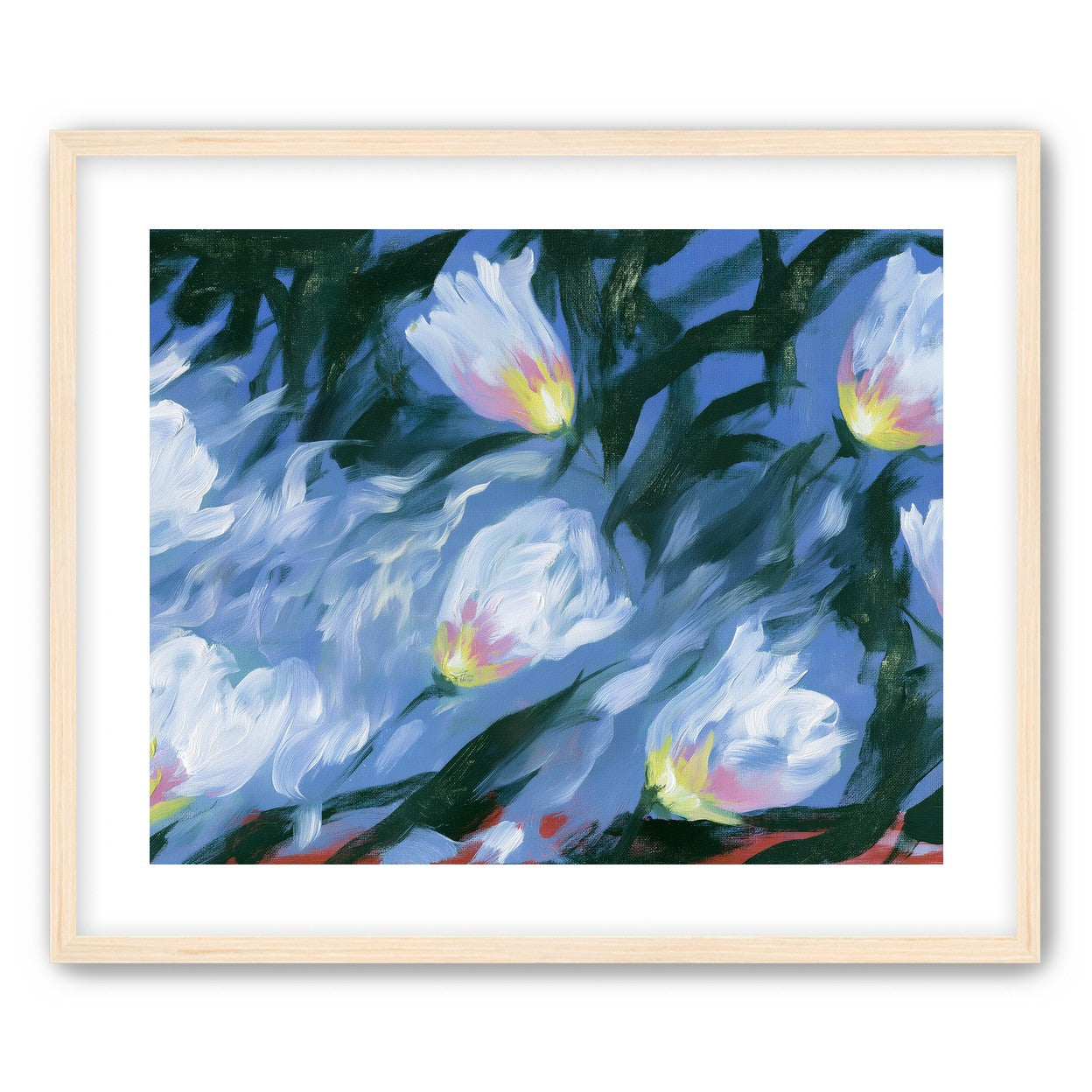White tulips on blue ground