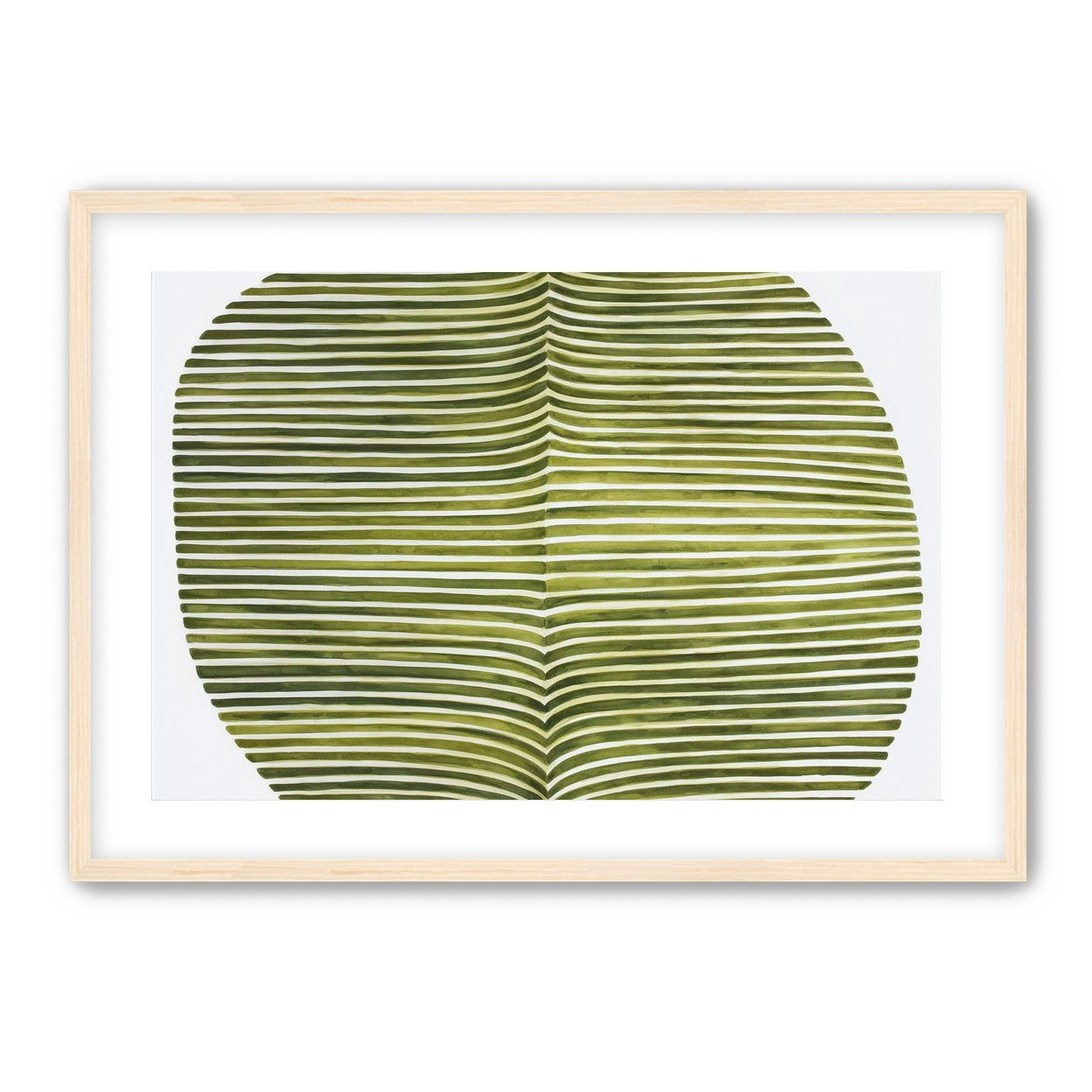 Dark green stripes crease inward