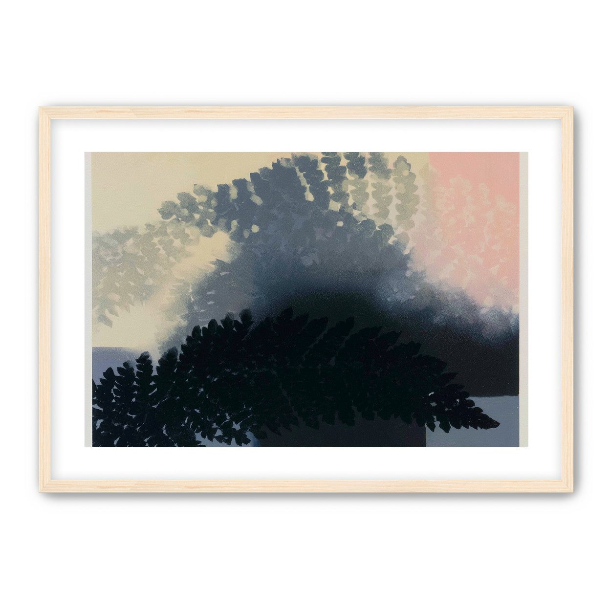 Tree shadow across the sky