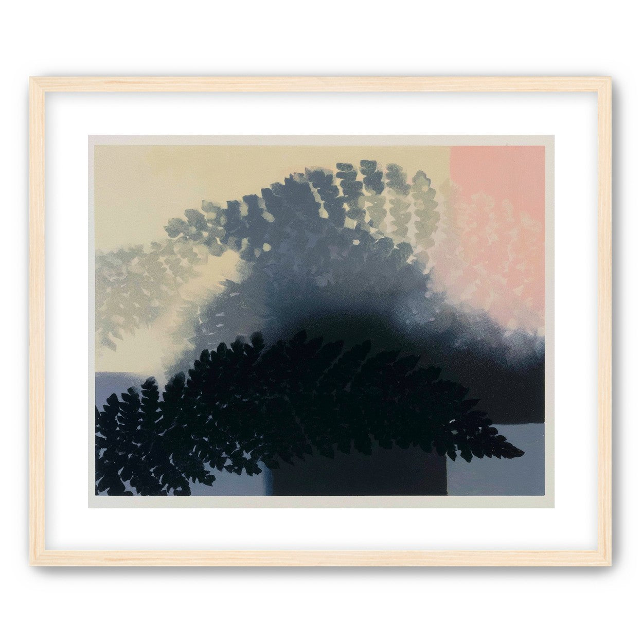 Tree shadow across the sky