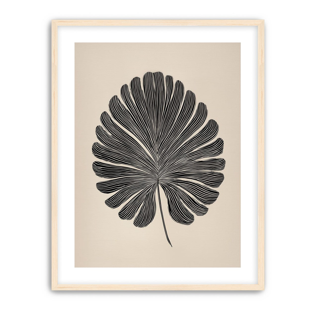 Striped fan leaf alone