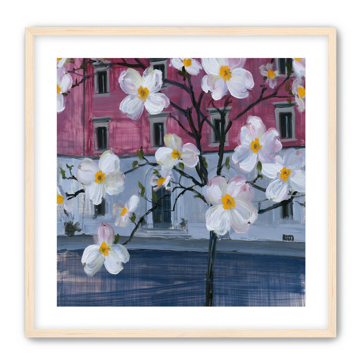 White blossoms over the pink house