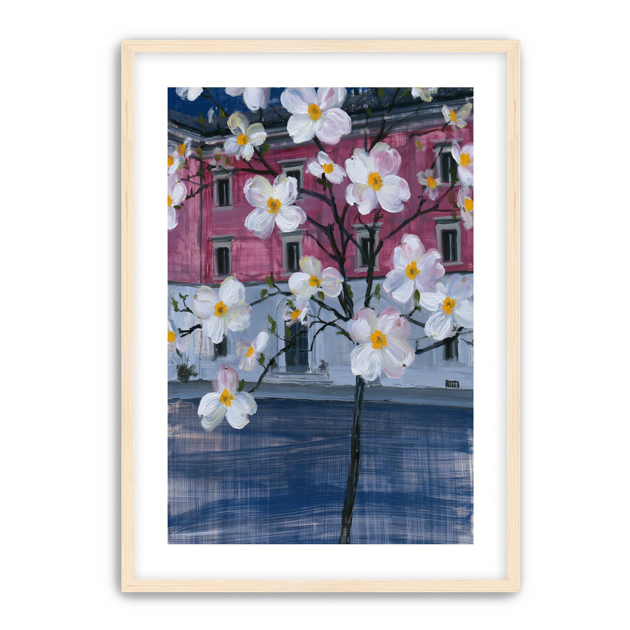 White blossoms over the pink house