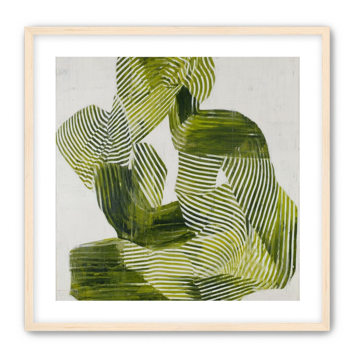 Olive stripes in repose