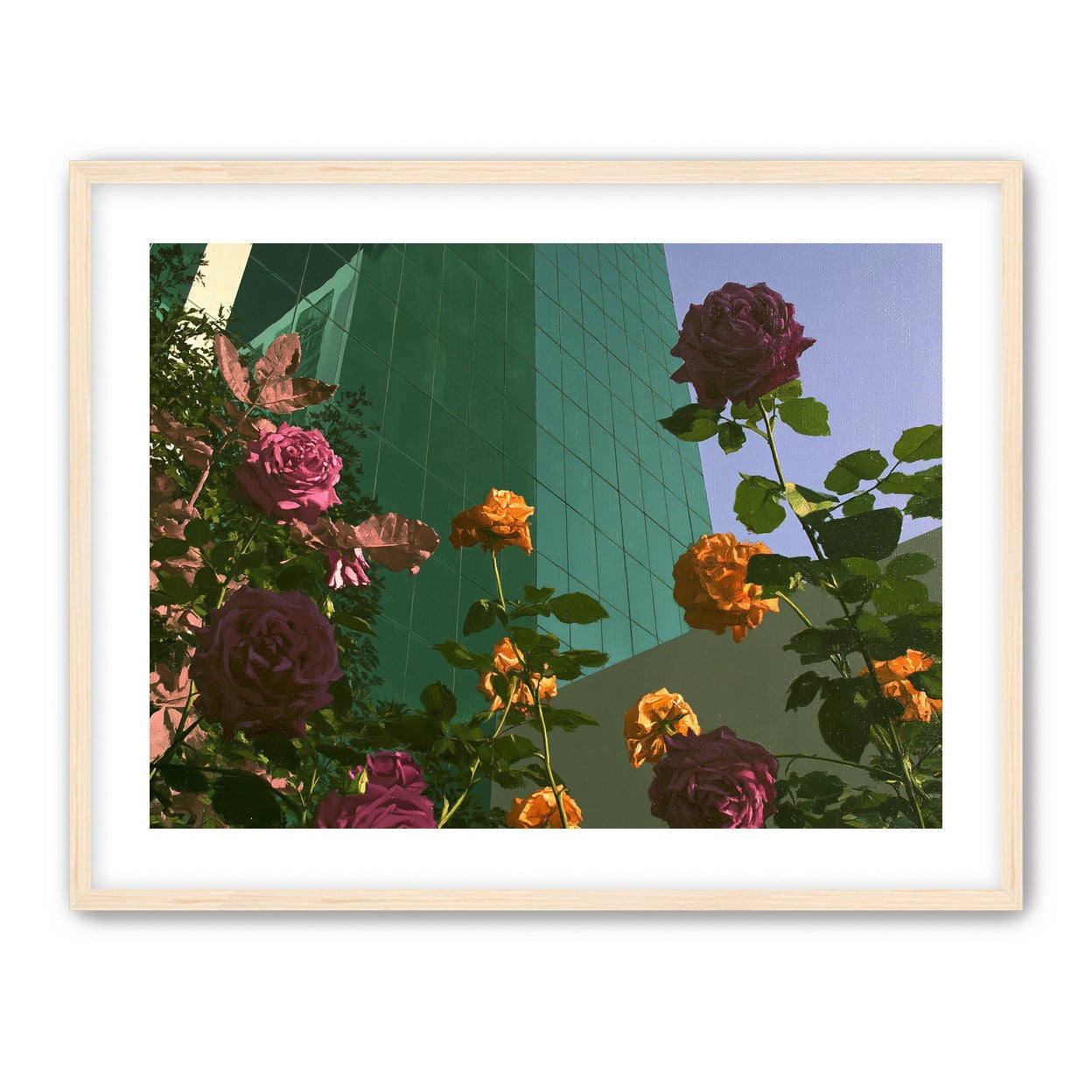 Roses climbing the glass wall